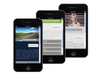 Mobile Campaign Examples from Legal Brand Marketing